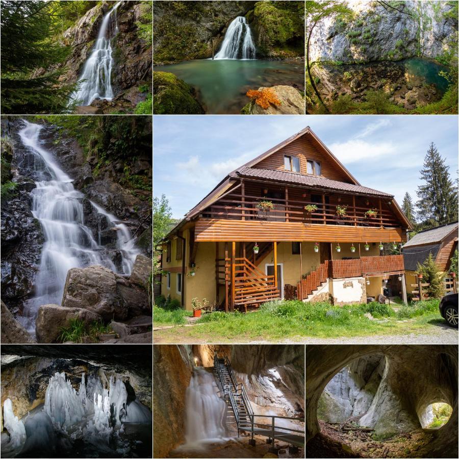 Pensiunea Viorica Arieşeni Exteriér fotografie