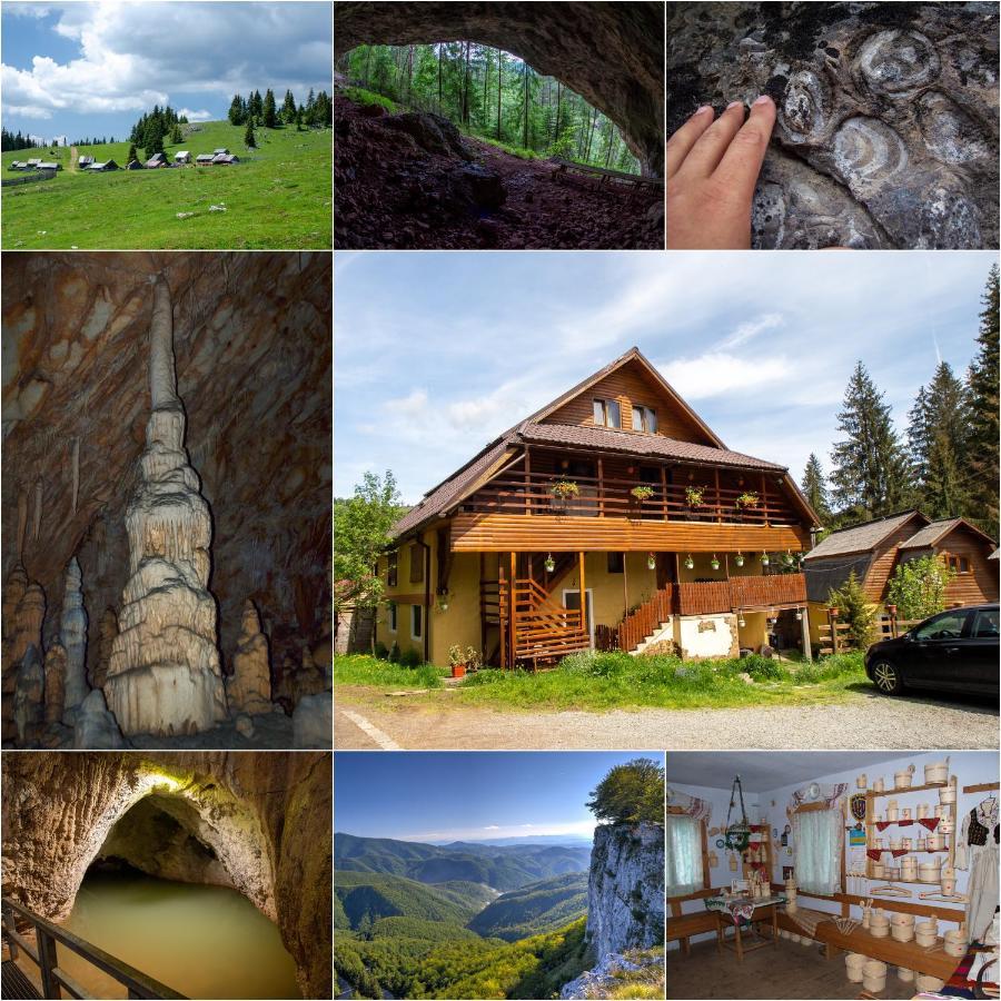 Pensiunea Viorica Arieşeni Exteriér fotografie