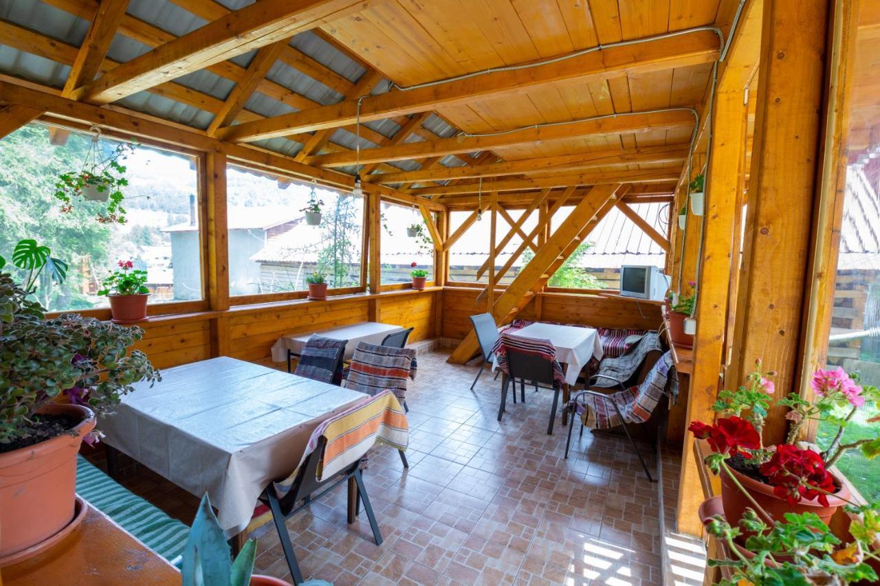 Pensiunea Viorica Arieşeni Exteriér fotografie