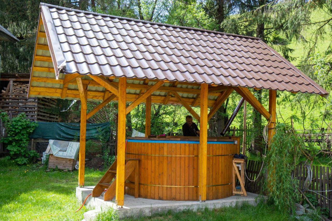 Pensiunea Viorica Arieşeni Exteriér fotografie