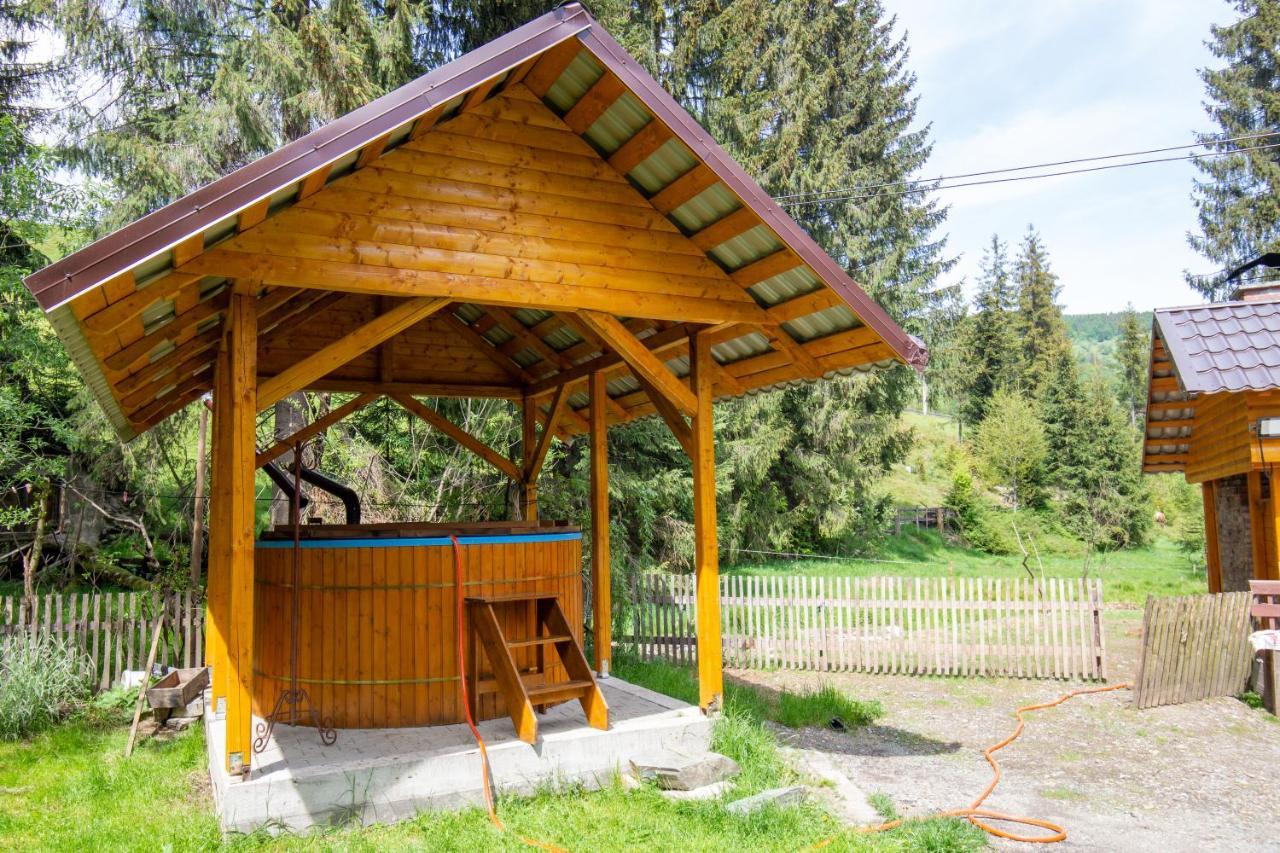 Pensiunea Viorica Arieşeni Exteriér fotografie
