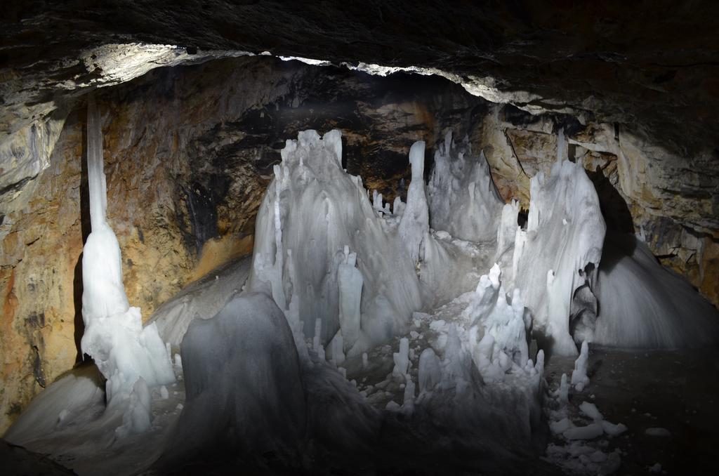 Pensiunea Viorica Arieşeni Exteriér fotografie