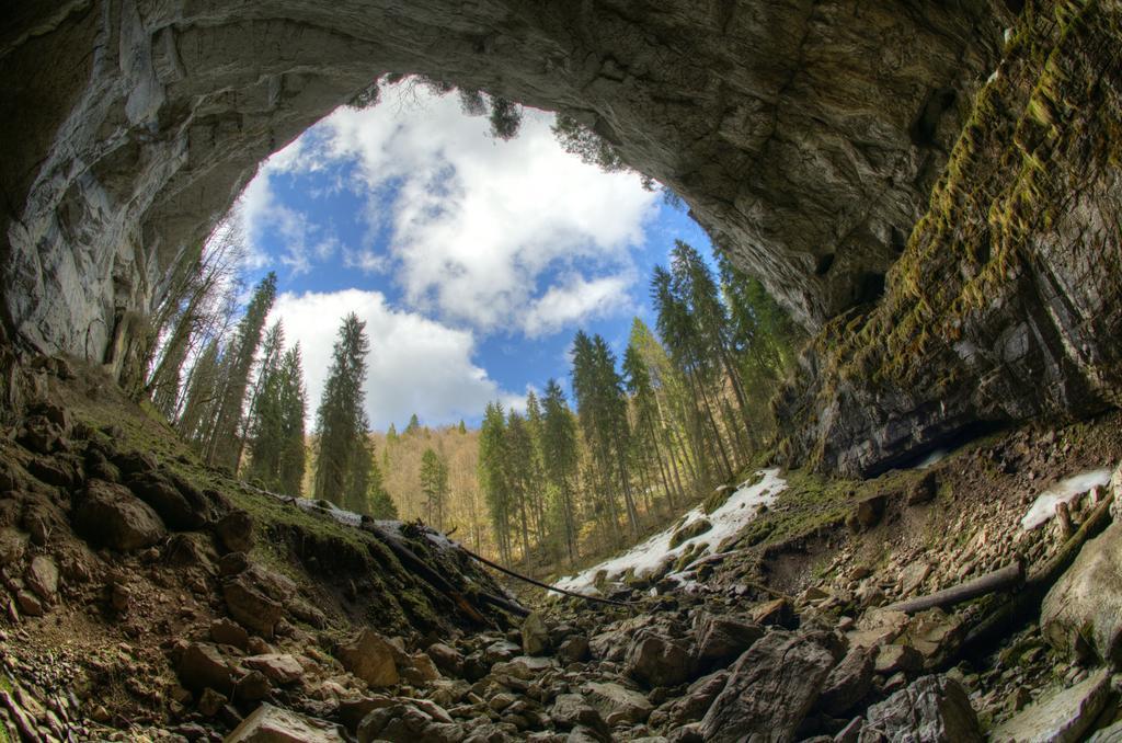Pensiunea Viorica Arieşeni Exteriér fotografie